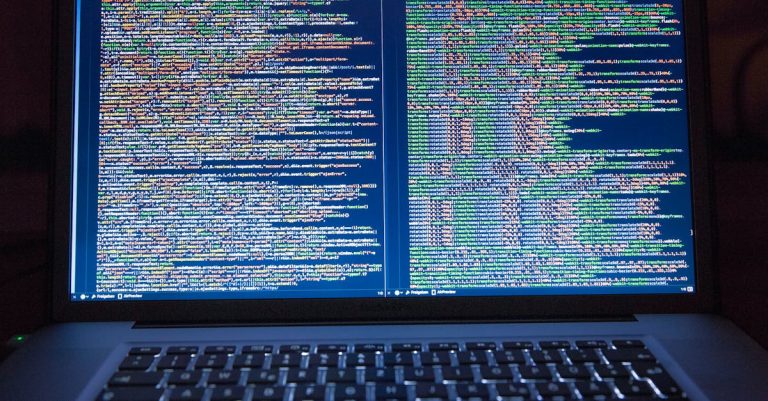 Les vulnérabilités web : comment s&rsquo;en prémunir ?