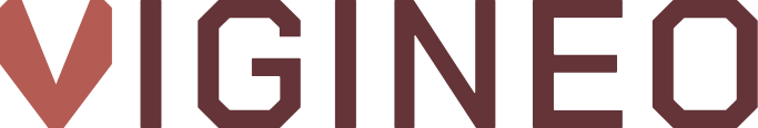 VIGINEO